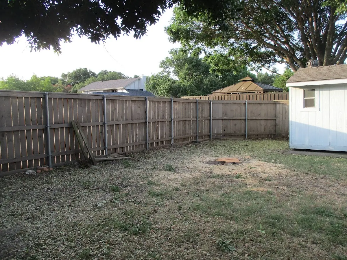 Cleared yard after professional tree removal in White Pine
